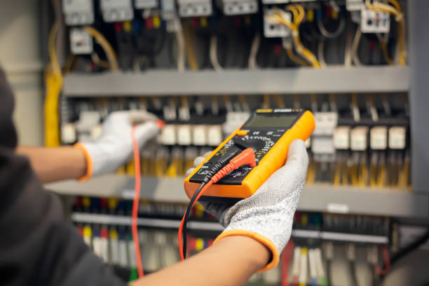 Best Electrical Panel Upgrades  in Decatur, MI